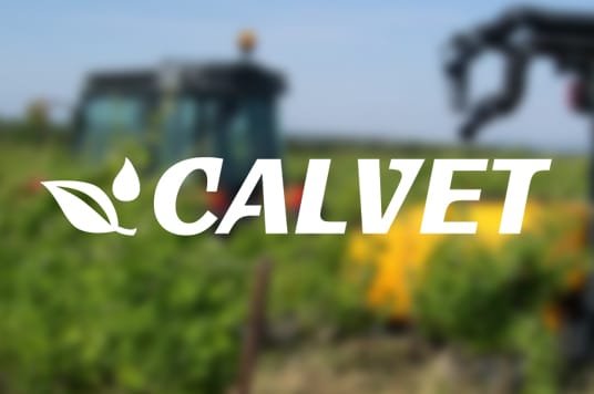 Ex æquo Agence de communication à Narbonne - Réalisation Calvet